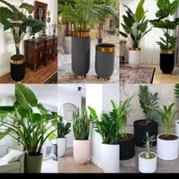 کلیه خدمات باغچه تعویض خاک گل گلکاری باغچه هرس|خدمات باغبانی و درختکاری|تهران, مرزداران|دیوار