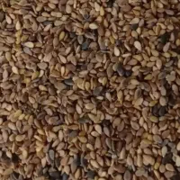 کنجد محلی تمیز