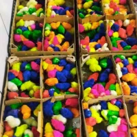 مجتمع سلامت ماکیان اردک جوجه محلی رنگی گوشتی