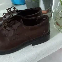 کفش مردانه|کیف، کفش، کمربند|قم, شاد قلی|دیوار