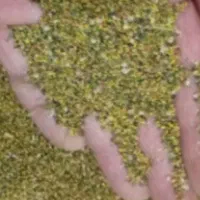 بذرشبدریک چین
