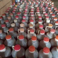 پخش عسل طبیعی خام انواع روغن طبیعی|عمده‌فروشی|مشهد, رسالت|دیوار