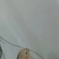 گمشده مسیح 3