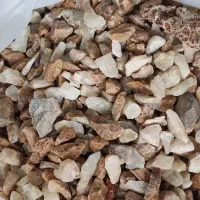 آکواریوم|ماهی|میاندوآب, |دیوار