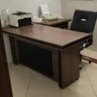 همکار/منشی خانم