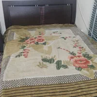تختخواب دو نفره و خوشخواب|تخت و سرویس خواب|شیراز, زرگری|دیوار