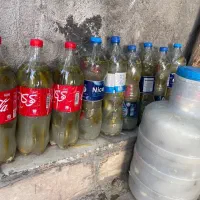 خیارشور تازه درجه یک با خیارزمینی