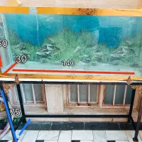 اکواریوم و پایه فلزی