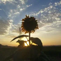 ایده. تولیدی درامد زایی تجربه خانم یا اقا|فعالیت داوطلبانه|میانه, |دیوار