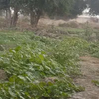 فروش-زمین-ویلایی