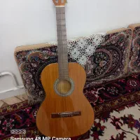 گیتار  برند آدرین