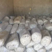 جلودار حیدری