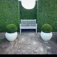 هرس. باغچه ودرخت. سم پاشی درختان وگل وگیاه|خدمات باغبانی و درختکاری|عباسآباد, |دیوار