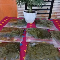 اردک و ماکیان|حیوانات مزرعه|کیلان, |دیوار