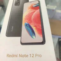 Not12pro.  256.ram8+4