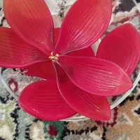 وسایل گل کریستال.|گل مصنوعی|شاهرود, |دیوار