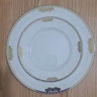 سرویس چینی ۱۸نفره مقصود