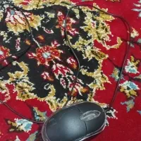 موس آر جی بی|قطعات و لوازم جانبی رایانه|اراک, |دیوار