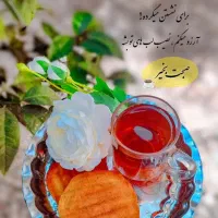 سیم کارت دائمی