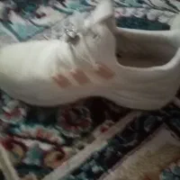 کفش زنانه سفید اسپرت|کیف، کفش، کمربند|فولادشهر, مسکن مهر فولادشهر|دیوار