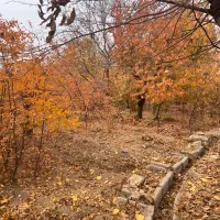 باغ ۸۵۰متری روستای سیجان|فروش زمین و ملک کلنگی|آسارا, |دیوار