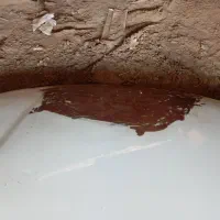 لوازم پژو پارس|قطعات یدکی و لوازم جانبی|زابل, |دیوار