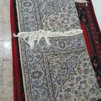 ۶ متری زیبا|فرش|کرج, ساسانی (قلمستان)|دیوار
