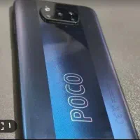 شیامی پوکوایکس تری