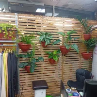 ویترین با چوب نراد