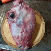 قصابی و ذبح گوسفند و گوساله( قصاب سیار )|خدمات پذیرایی، مراسم|اردبیل, |دیوار