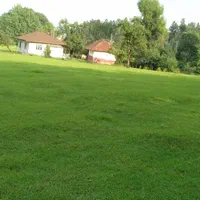 ویلای قدیمساز جنگلی ۱۲هزار متری ، رضوانشهر