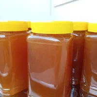 عسل طبیعی کوهستانی سراب