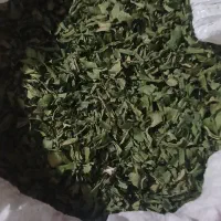سبزی دنا ل ی ز ک اصل امسال