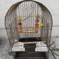 با سلام یک قفس هروس هلندی