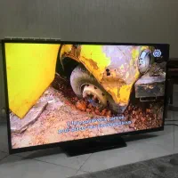 ال ای دی 49 سامسونگ اصل کره درحداکبند