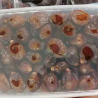 خرما خاصویی درجه یک شیراز