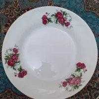 بشقاب غذاخوری گل سرخ چینی ،پارس