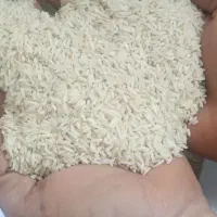 برنج دم سیاه درجه یک|خوردنی و آشامیدنی|آق قلا, |دیوار