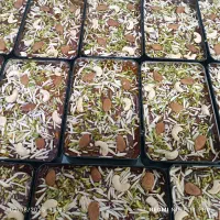 حلوا مسقطی|خوردنی و آشامیدنی|شیراز, بازار|دیوار
