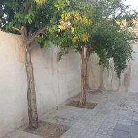 دربست همکف|اجارهٔ خانه و ویلا|شیراز, شهرک کوثر|دیوار