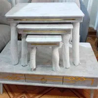 مبلمان|مبلمان خانگی و میز عسلی|تربتحیدریه, داروپخش|دیوار