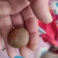 سنگ‌درمان وغیره