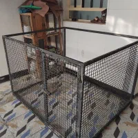 پرنده و ۲ قفس