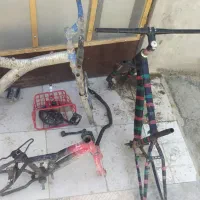 تنه دوچرخه