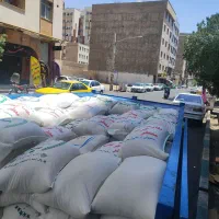 برنج فجر.طارم هاشمی.هاشمی