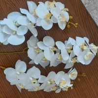 ارکیده لمسی|گل مصنوعی|مشهد, نیروی هوایی|دیوار