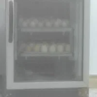 دستگاه جوجه کشی