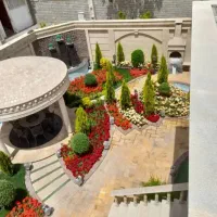 خدمات باغبانی گلکاری درختکاری   کوددهی کاشت گل