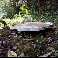 فروش ظروف پذیرایی و دکوری سنگ مصنوعی|صنایع دستی و سایر لوازم تزئینی|چالوس, |دیوار