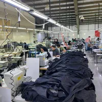 چرخکار و بردست و نیروی خدمات